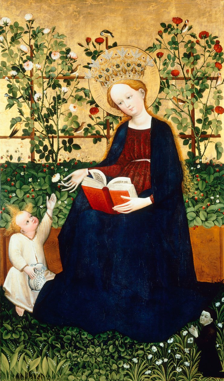 Le fragole Vergine da Hans Tieffenthal