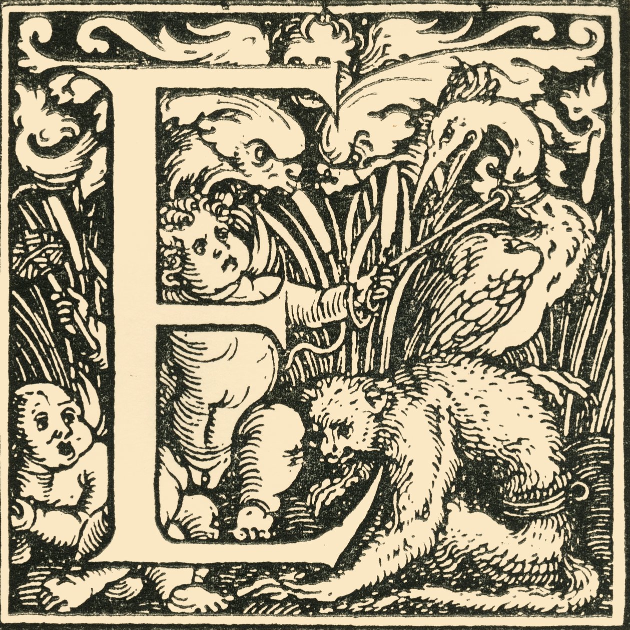 E - Un alfabeto di Hans Weiditz, c. 1520-1521, 1908 da Hans Weiditz
