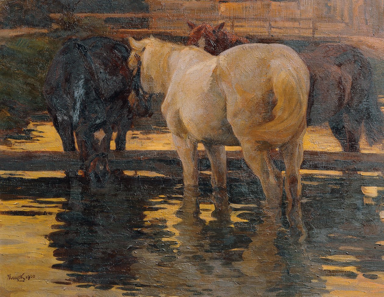 Cavalli al bagno da Hans von Hayek