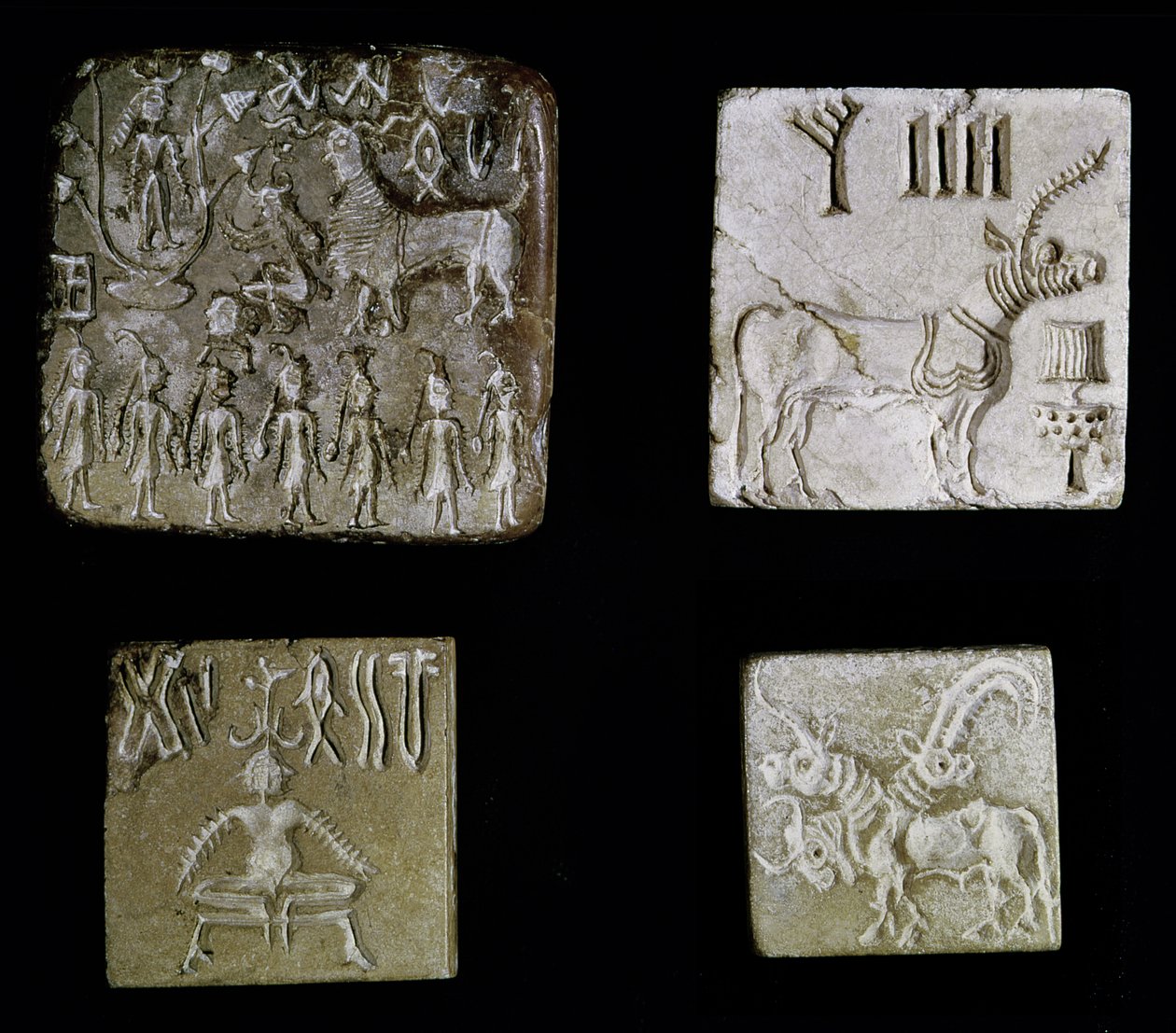 Quattro sigilli raffiguranti animali mitologici, da Mohenjo-Daro, Valle dell