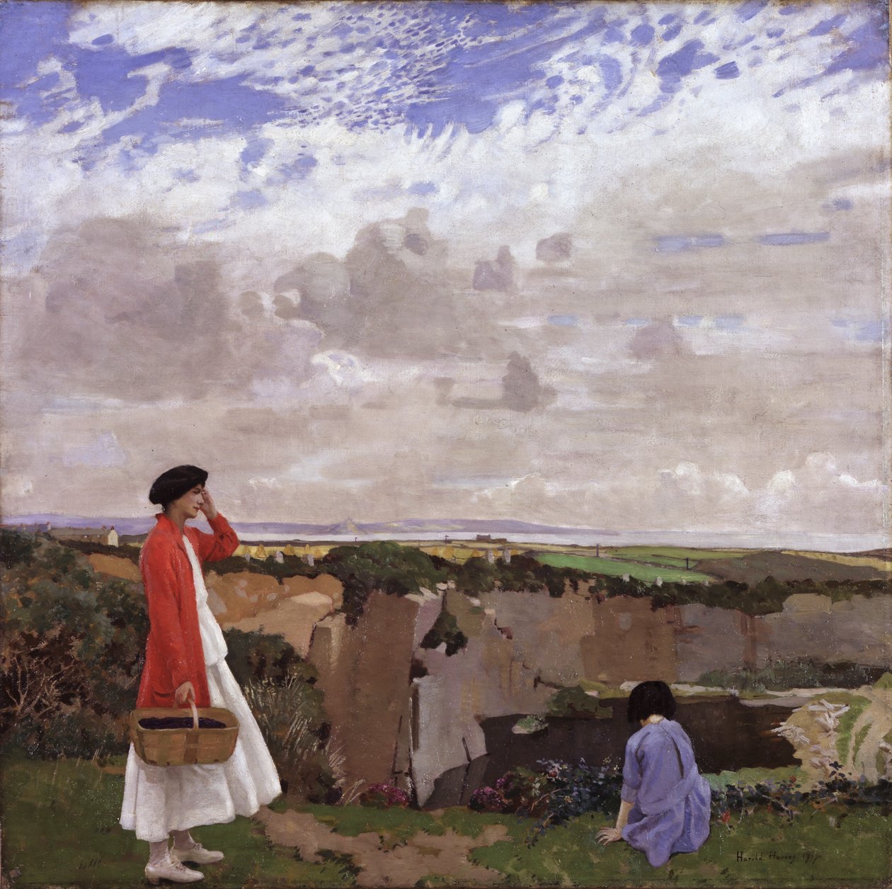 Raccolta di more da Harold Harvey