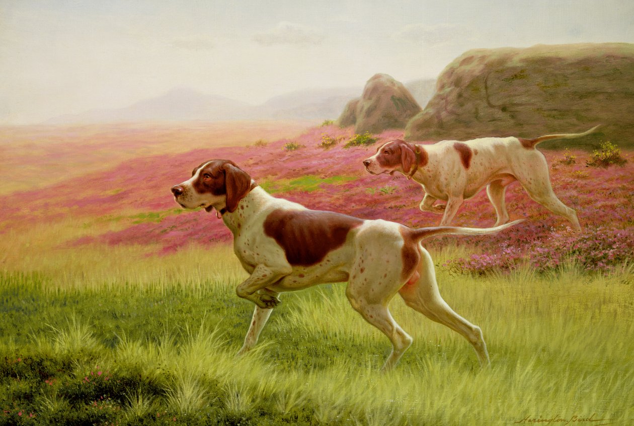 Cani da caccia in un paesaggio da Harrington Bird