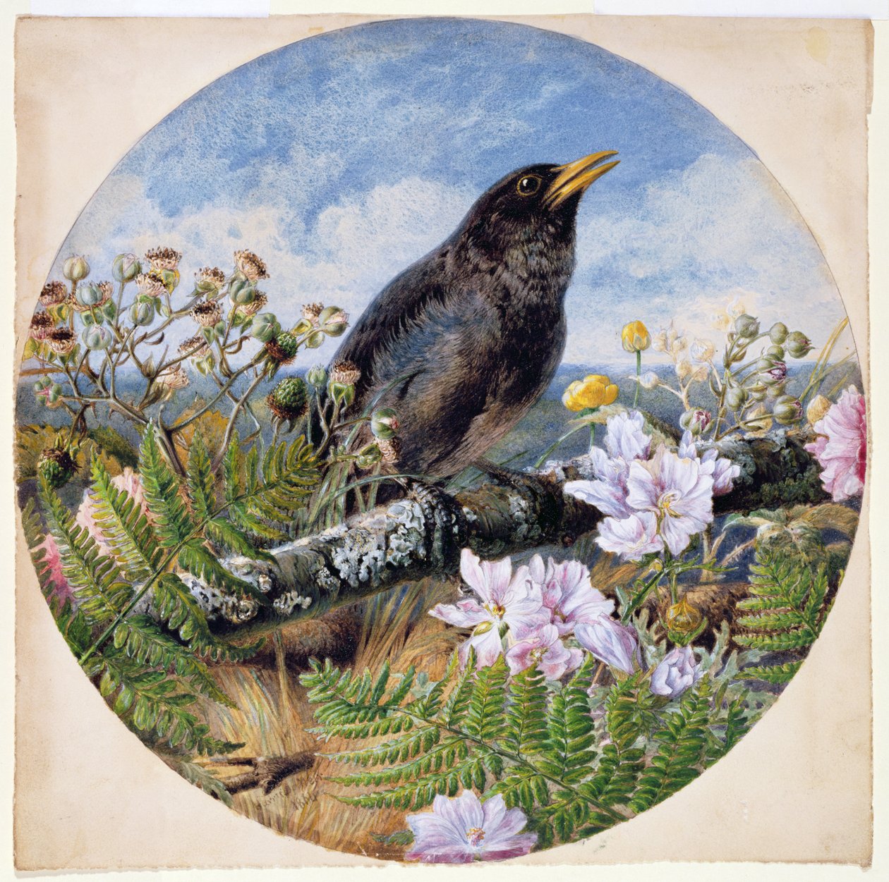 Merlo da Harrison William Weir