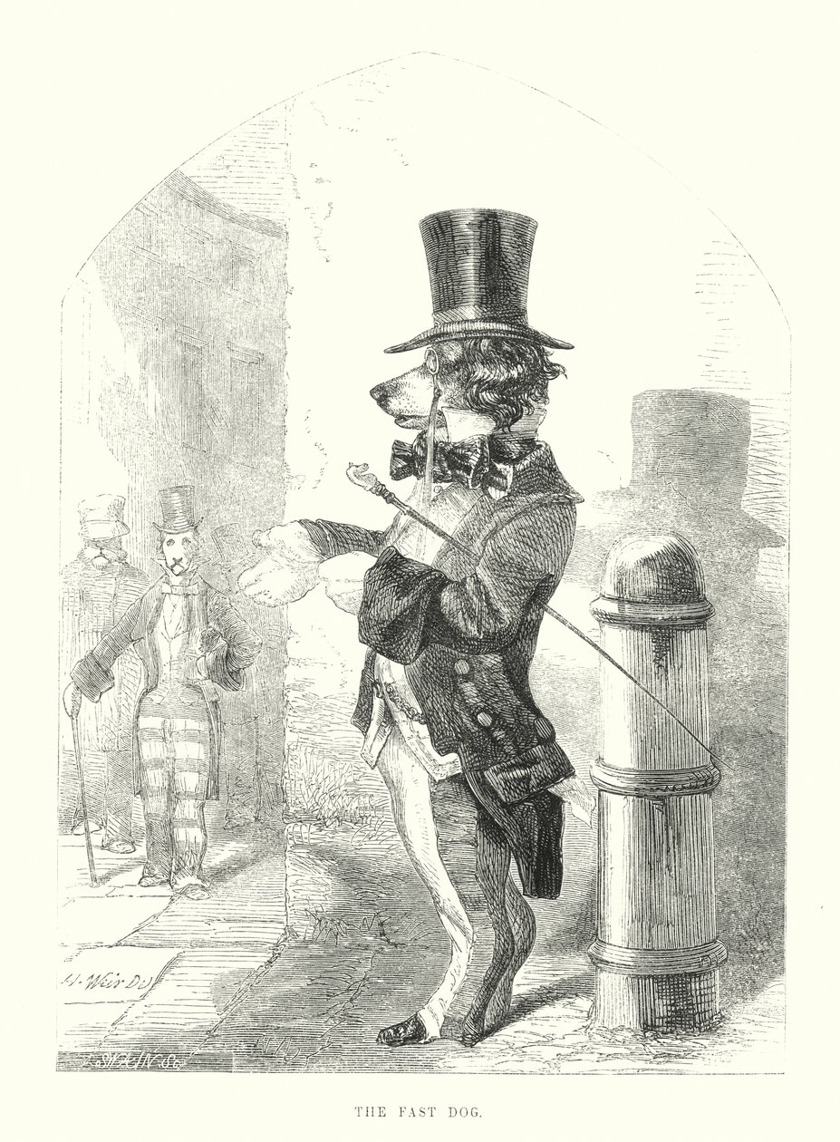 Cani divertenti: il cane veloce (incisione) da Harrison William Weir
