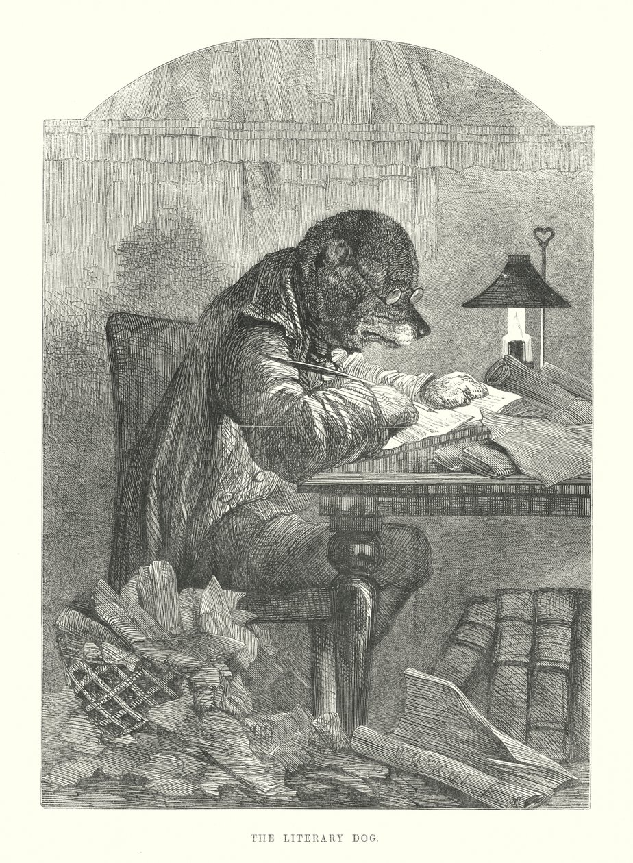 Cani divertenti: il cane letterario (incisione) da Harrison William Weir