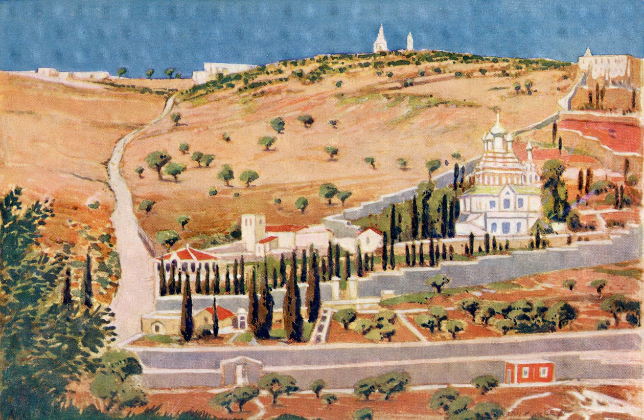 Il Monte degli Ulivi, Gerusalemme, c.1910 da Harry Morley
