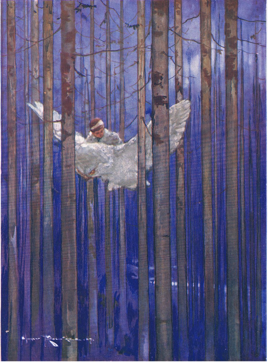 Il gufo e Gilbert hanno fatto splendide cavalcate al chiaro di luna (da Il trovatello della foresta) da Harry Rountree