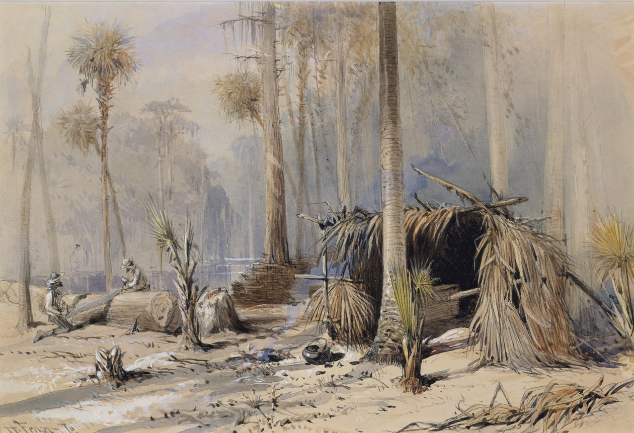 Il cantiere di cipressi, fiume Ocklawaha, Florida da Harry Fenn