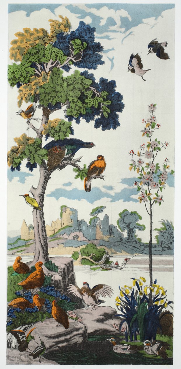 Magnum Opus: Gallo cedrone, pub. 1933 da Harry Wearne
