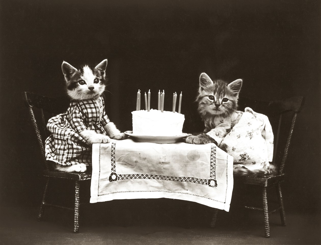 Serie dei gattini: Festa di compleanno, 1914 circa (stampa all