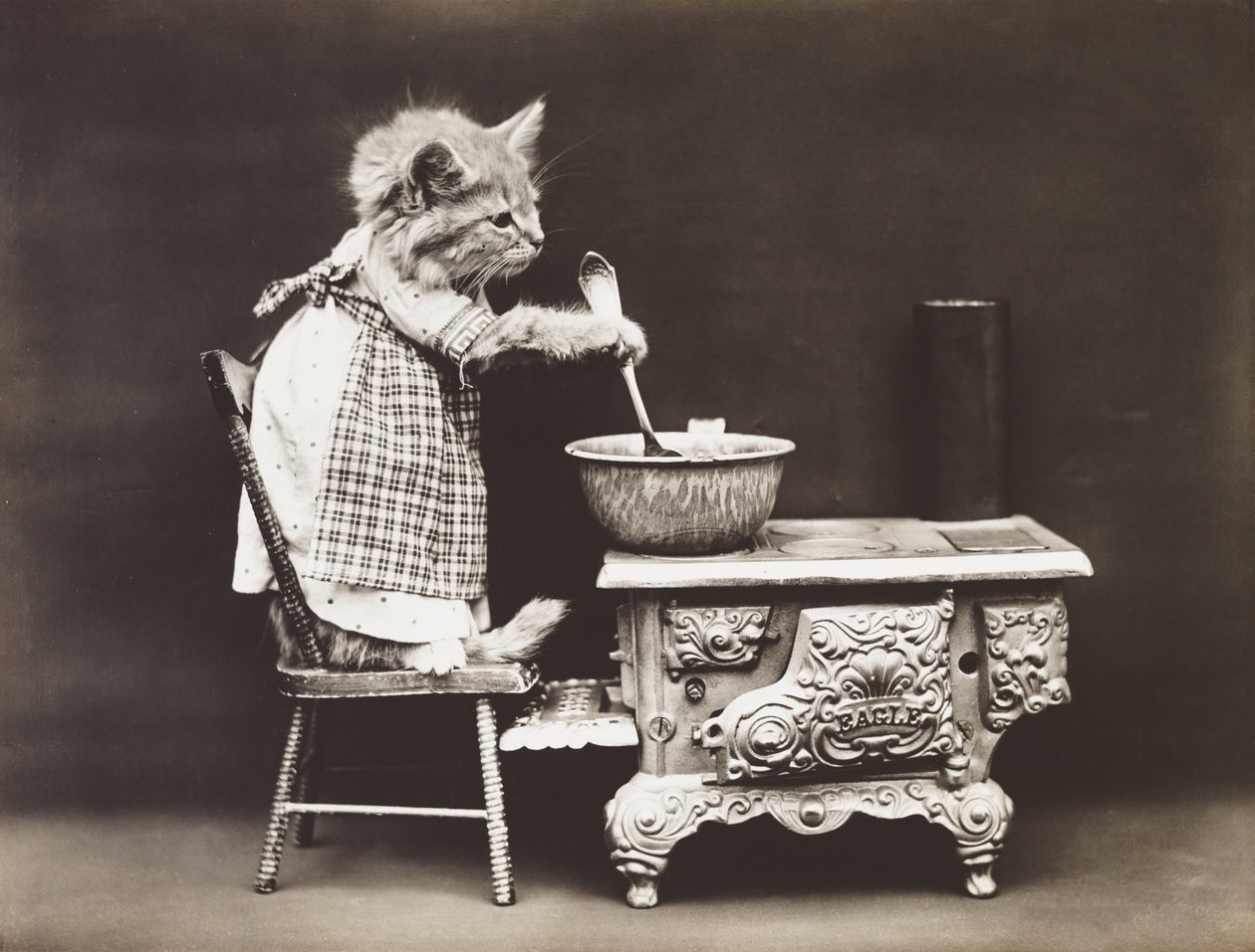 Serie dei gattini: Cuoco ai fornelli, 1914 circa (stampa all