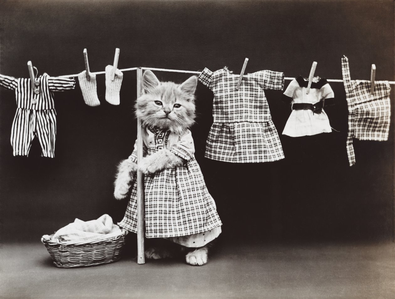 Serie dei gattini: Asciugare il bucato, 1914 circa (stampa all