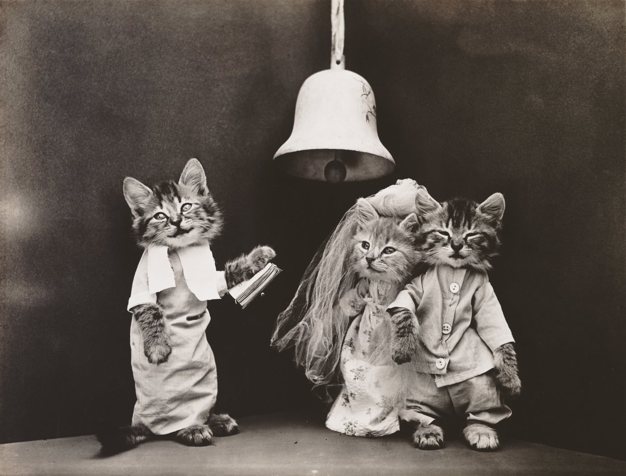 Serie dei gattini: Matrimonio, 1914 circa (stampa all