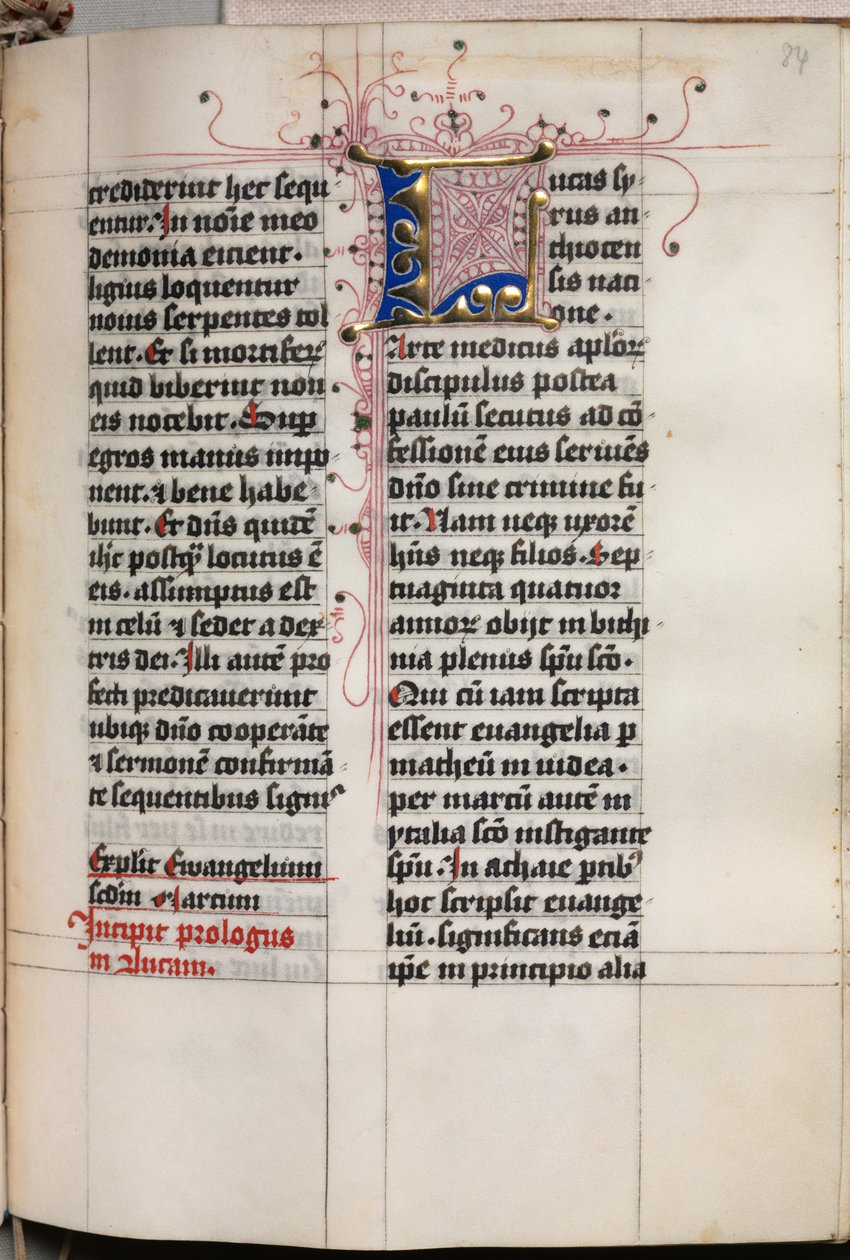 Libro dei Vangeli con ritratti degli evangelisti: iniziale decorata, c. 1480 da Hausbuch Master