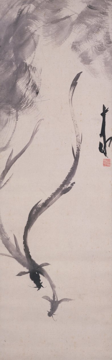 Anguille da Hayashi Jikko