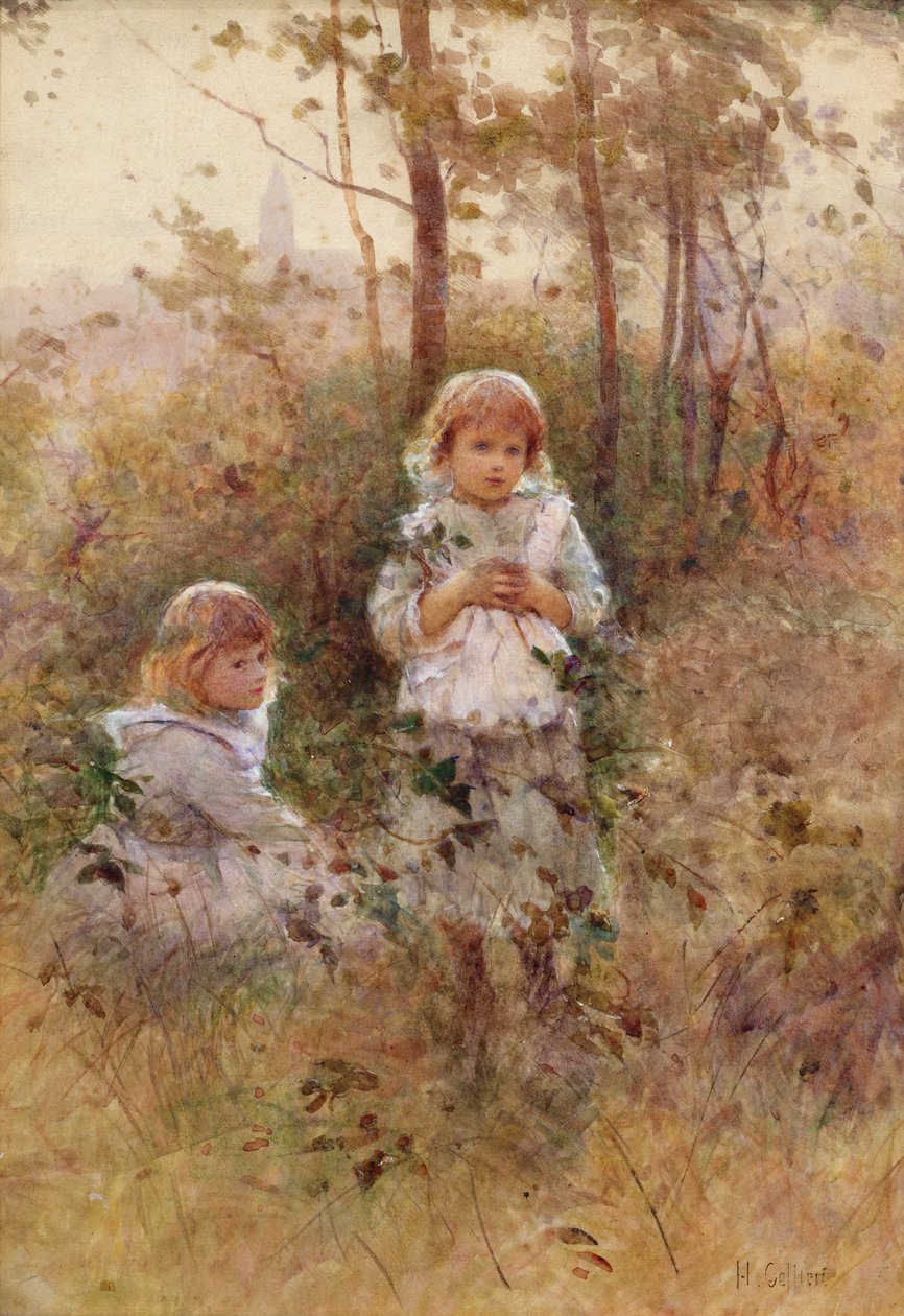 Nel bosco da Hector Caffieri