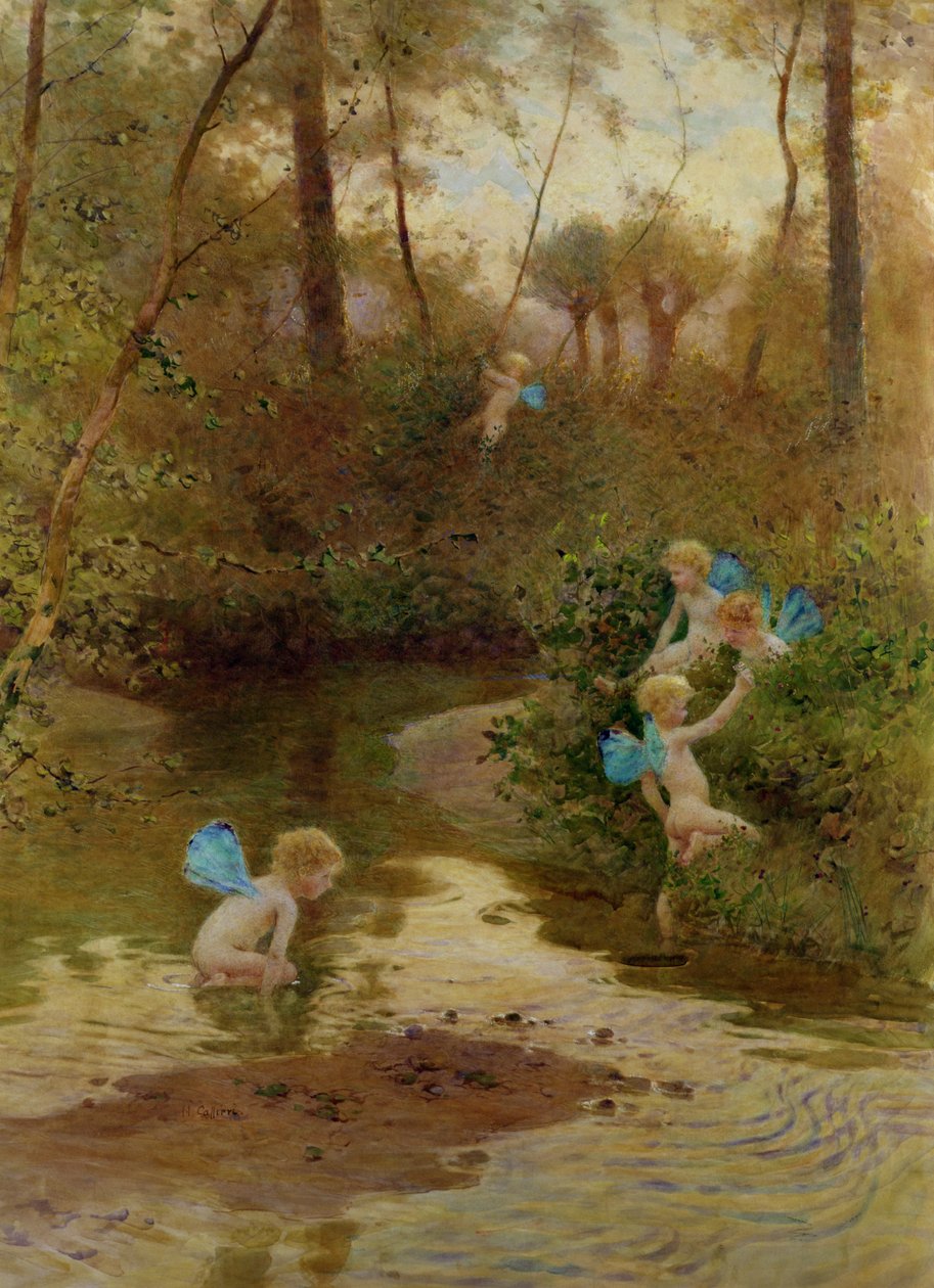Bambini d