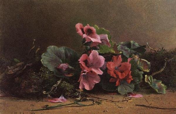 Studio di gerani da Hector Caffieri