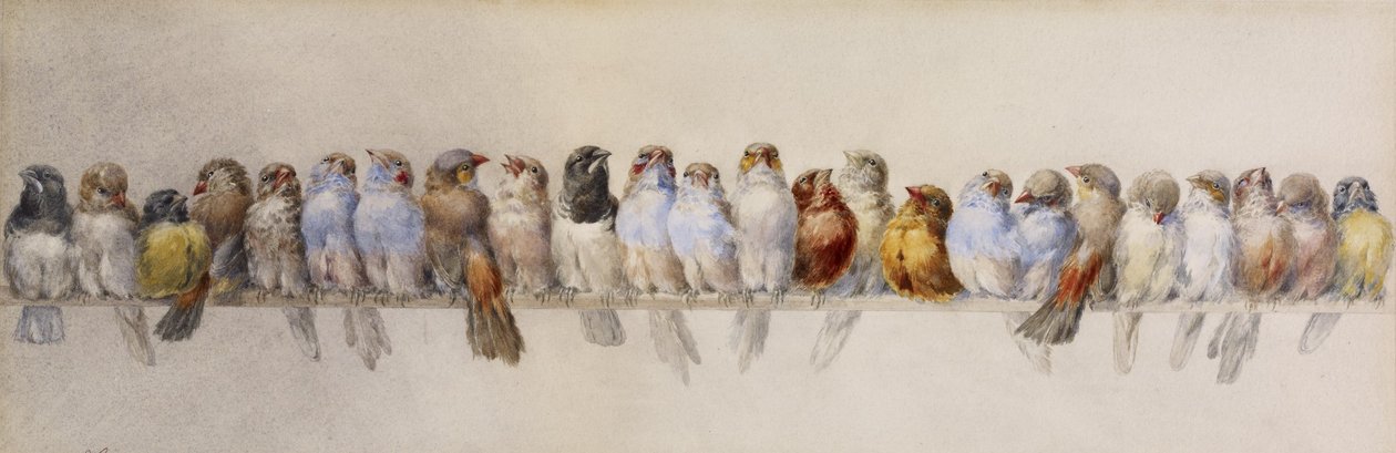 Un posatoio di uccelli, c.1880 da Hector Giacomelli