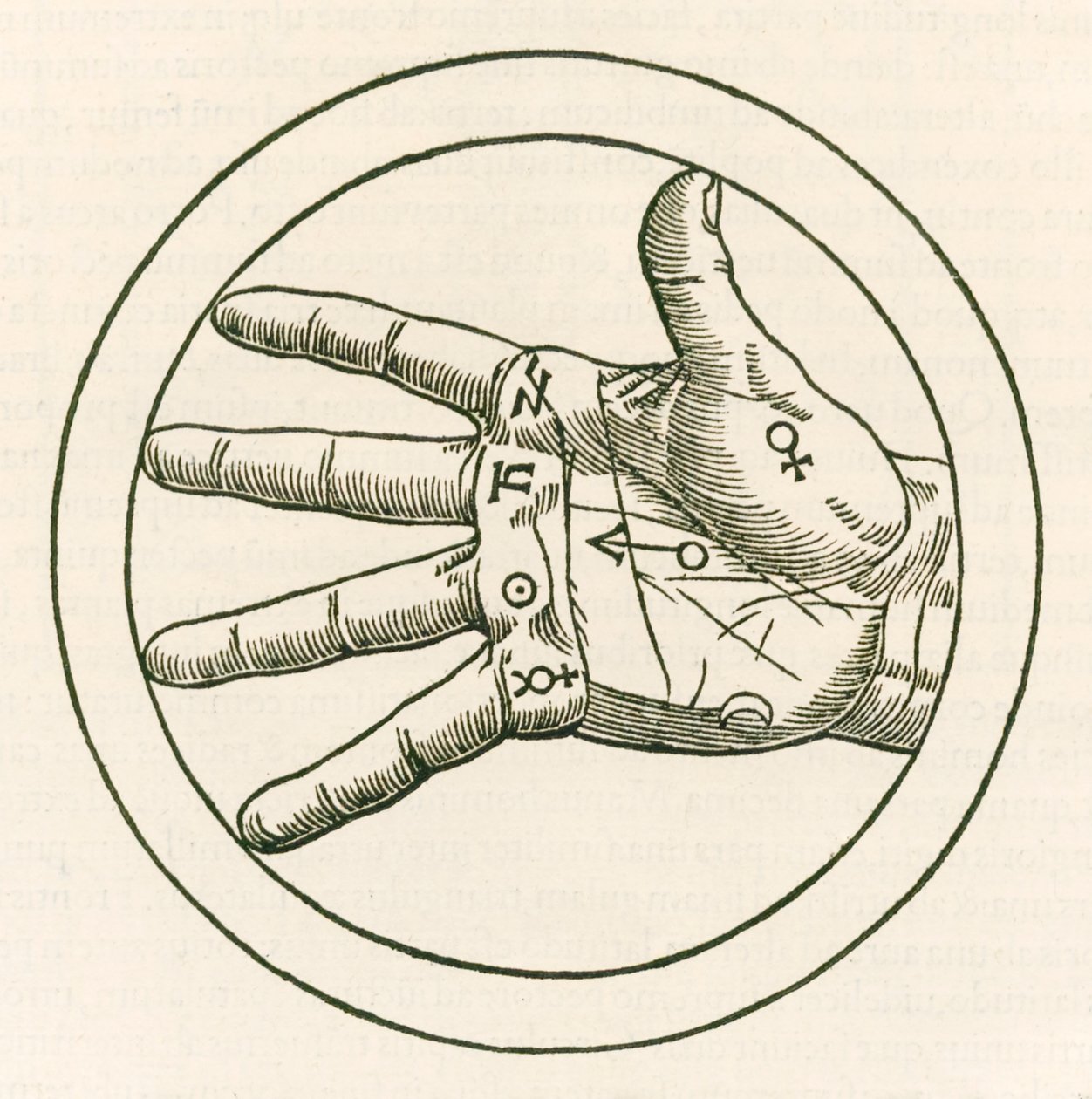 La mano della chiromanzia, incisione da De occulta philosophia libri tres di Heinrich Cornelius Agrippa von Nettesheim da Heinrich Cornelius Agrippa von Nettesheim