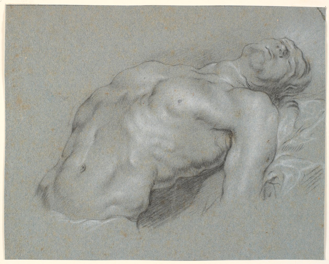 Parte superiore del corpo di un modello maschile fortemente inclinato all
