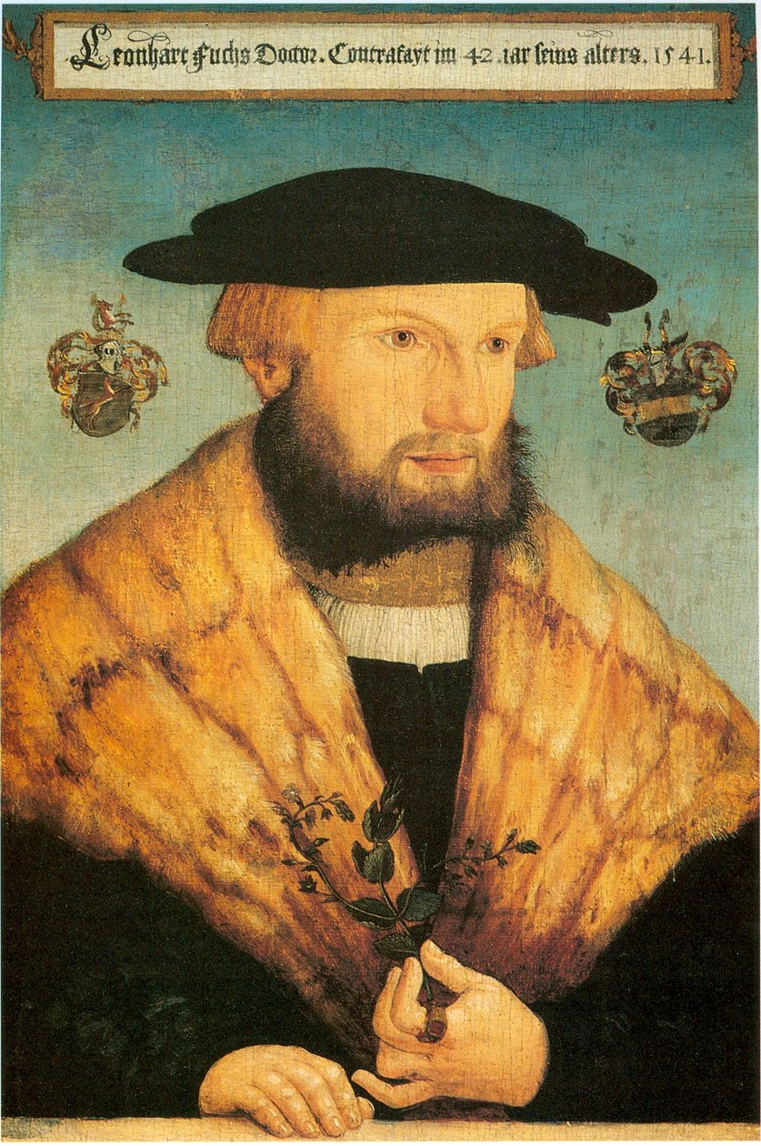 Ritratto di Leonhart Fuchs (1501-1566) da Heinrich Füllmaurer