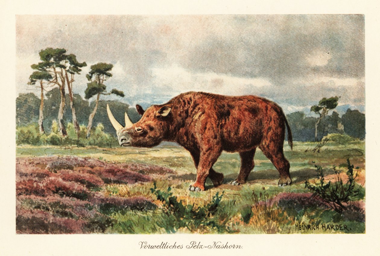 Rinoceronte lanoso estinto nelle steppe da Heinrich Harder