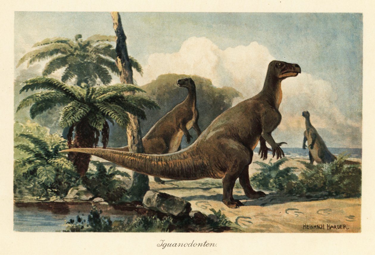 Iguanodon bernissartensis in una foresta di felci preistorica da Heinrich Harder