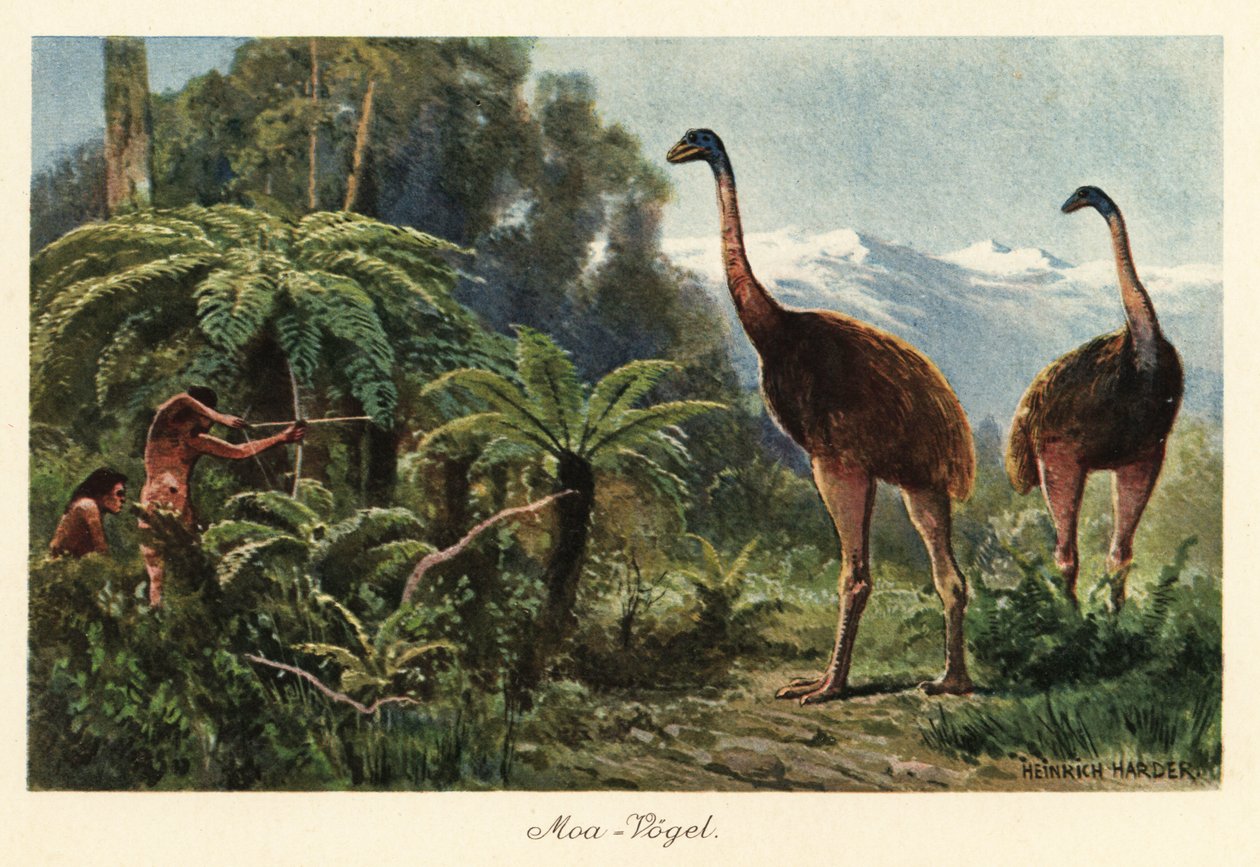 Uccelli Moa cacciati da uomini con archi e frecce da Heinrich Harder