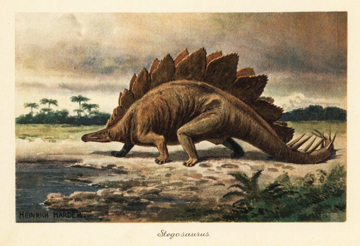 Stegosaurus armatus del Giurassico superiore da Heinrich Harder
