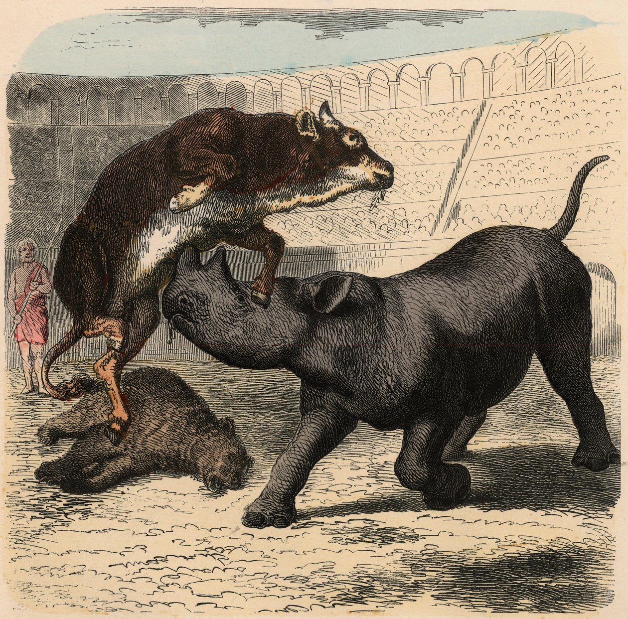 Antica Roma: Animali che combattono nell