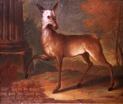 Un capriolo da Heinrich Lihl