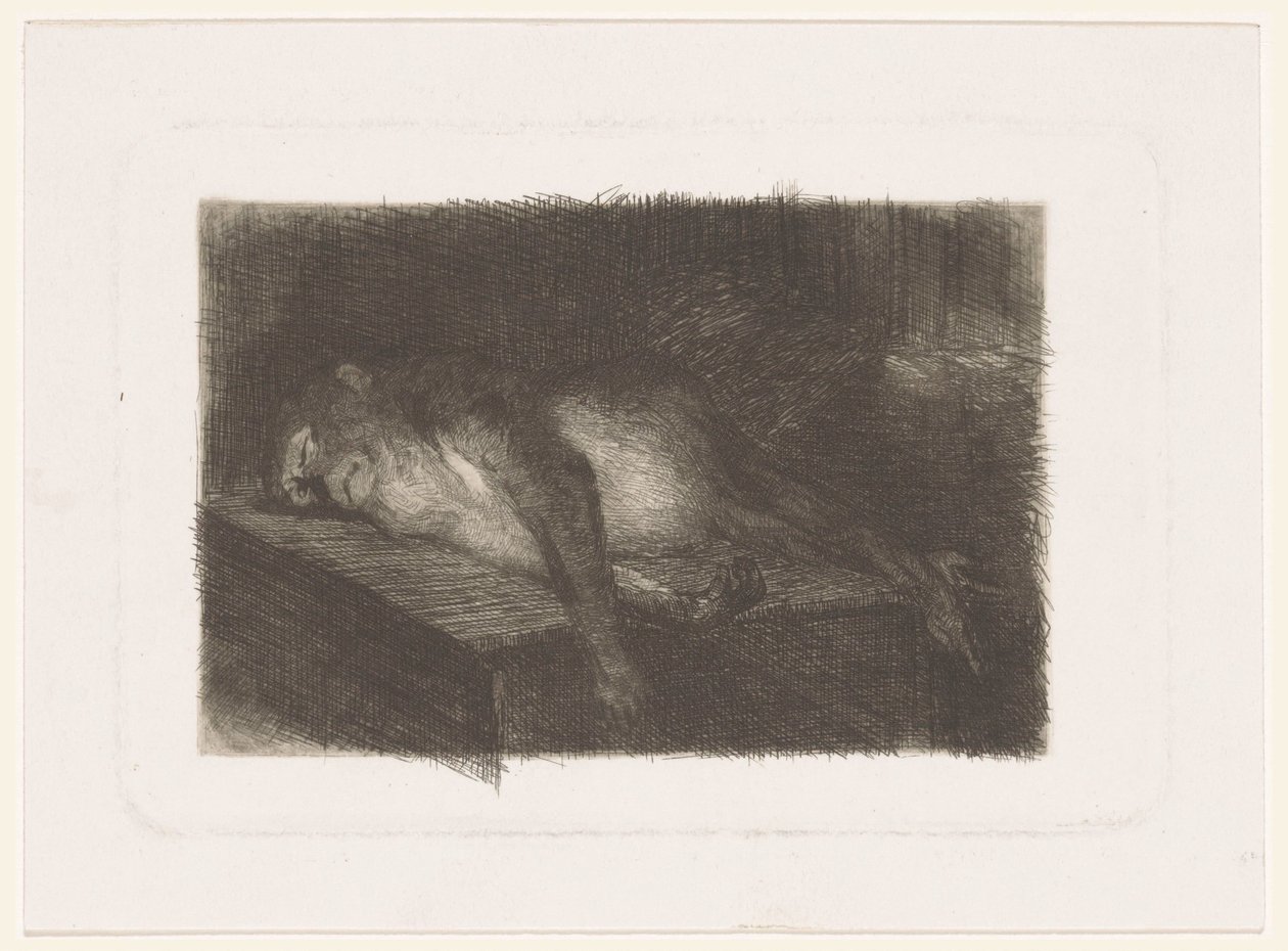 Scimmia sdraiata e dormiente da Heinrich M. Krabbé