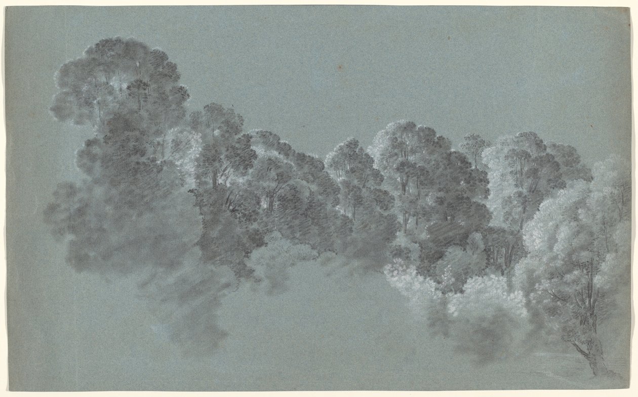 Cime degli Alberi della Foresta Colpite dalla Luce da Heinrich Rieter