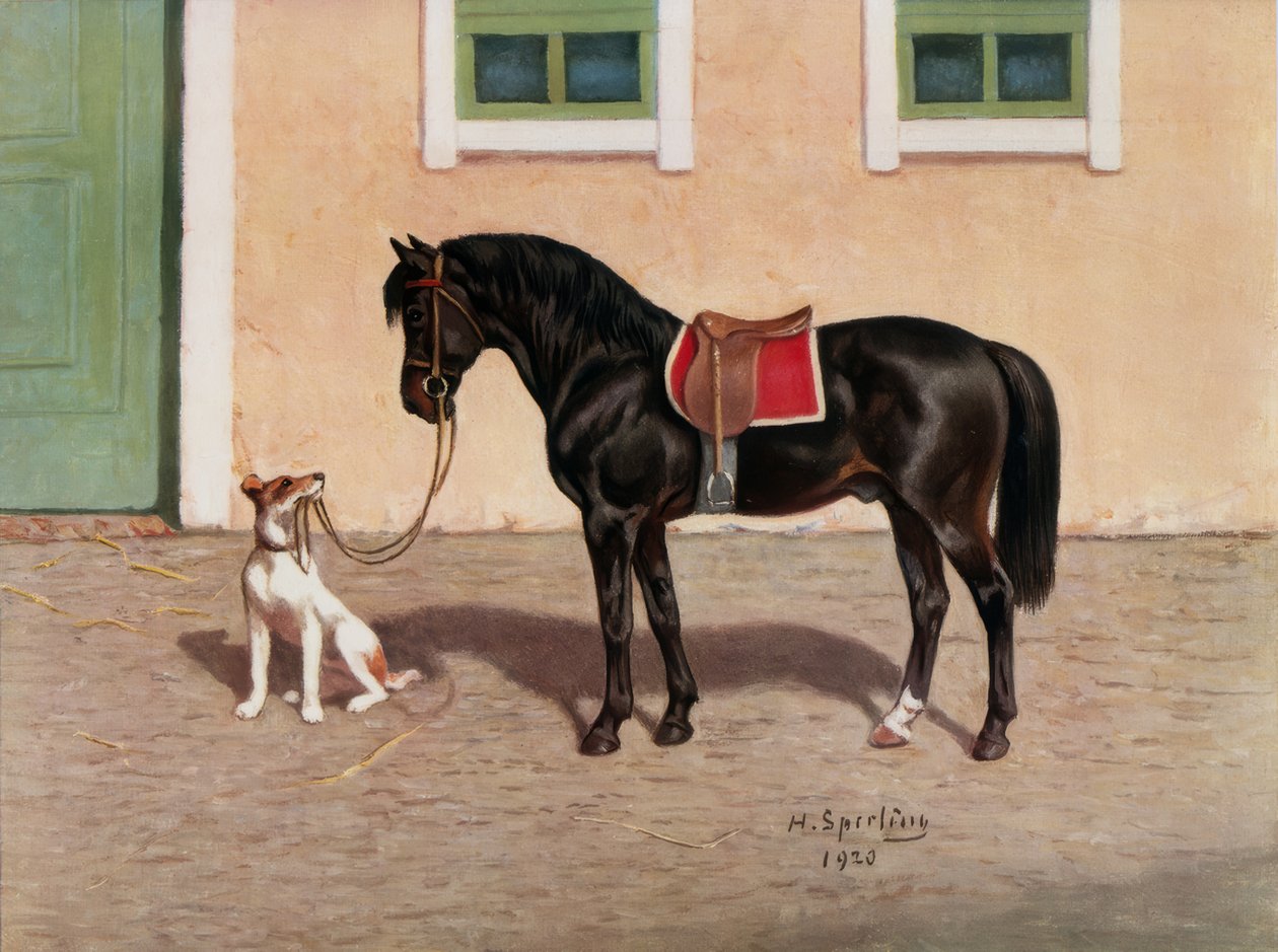 Cavallo, nero da Heinrich Sperling