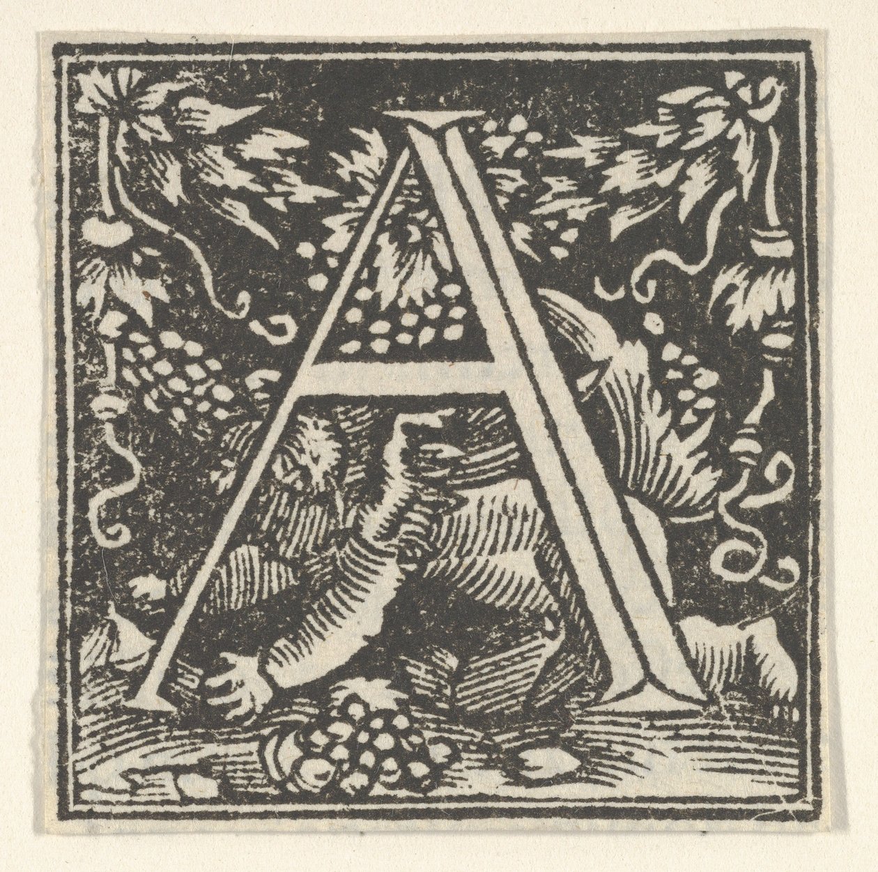 Lettera iniziale A con putto da Heinrich Vogtherr