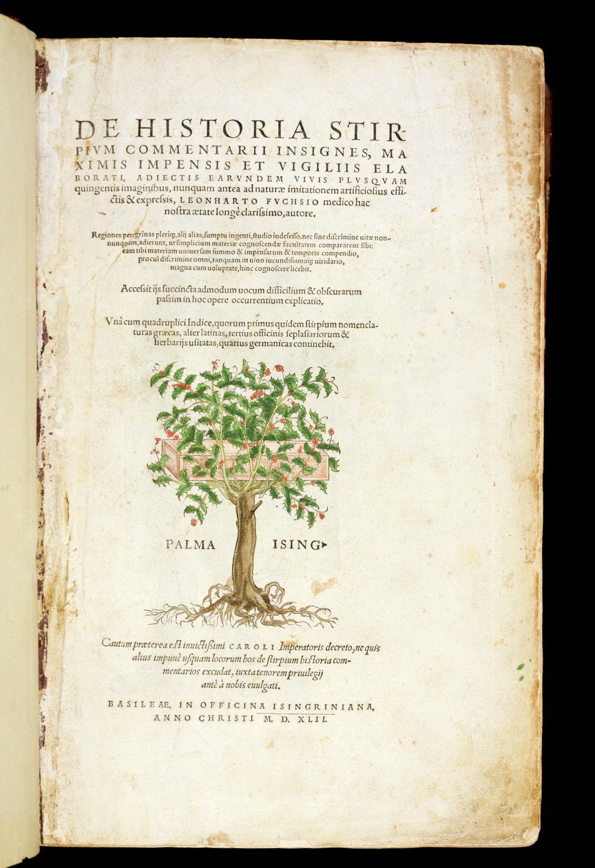 Pagina del titolo da 