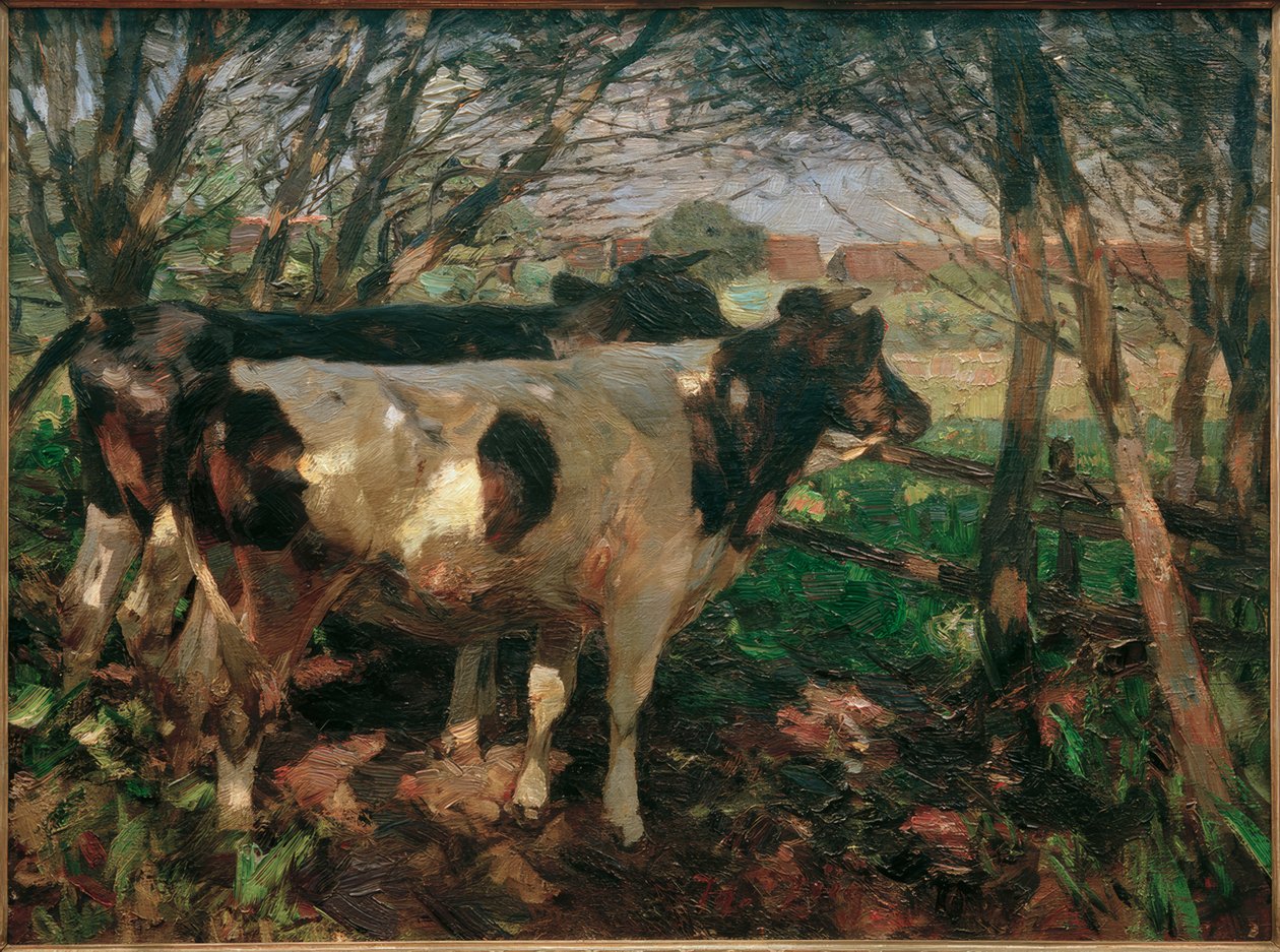 Due mucche al recinto da Heinrich von Zügel