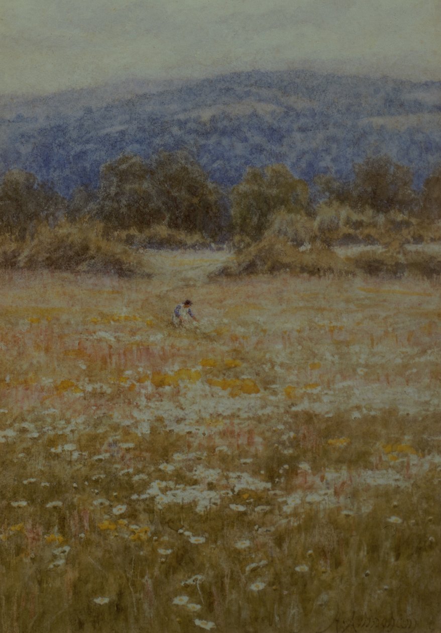 Raccolta di margherite a Westerham, Kent da Helen Allingham