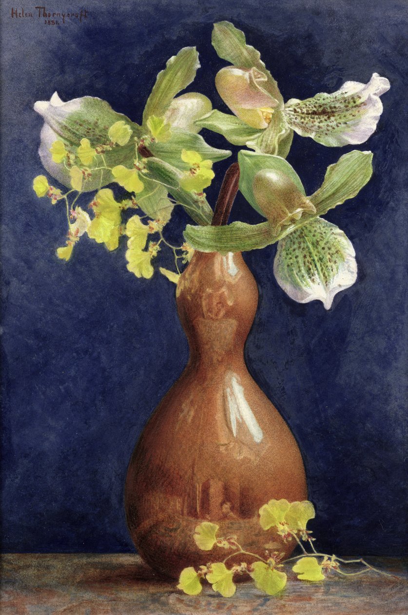 Orchidee in un Vaso di Rame, 1881 da Helen Thornycroft
