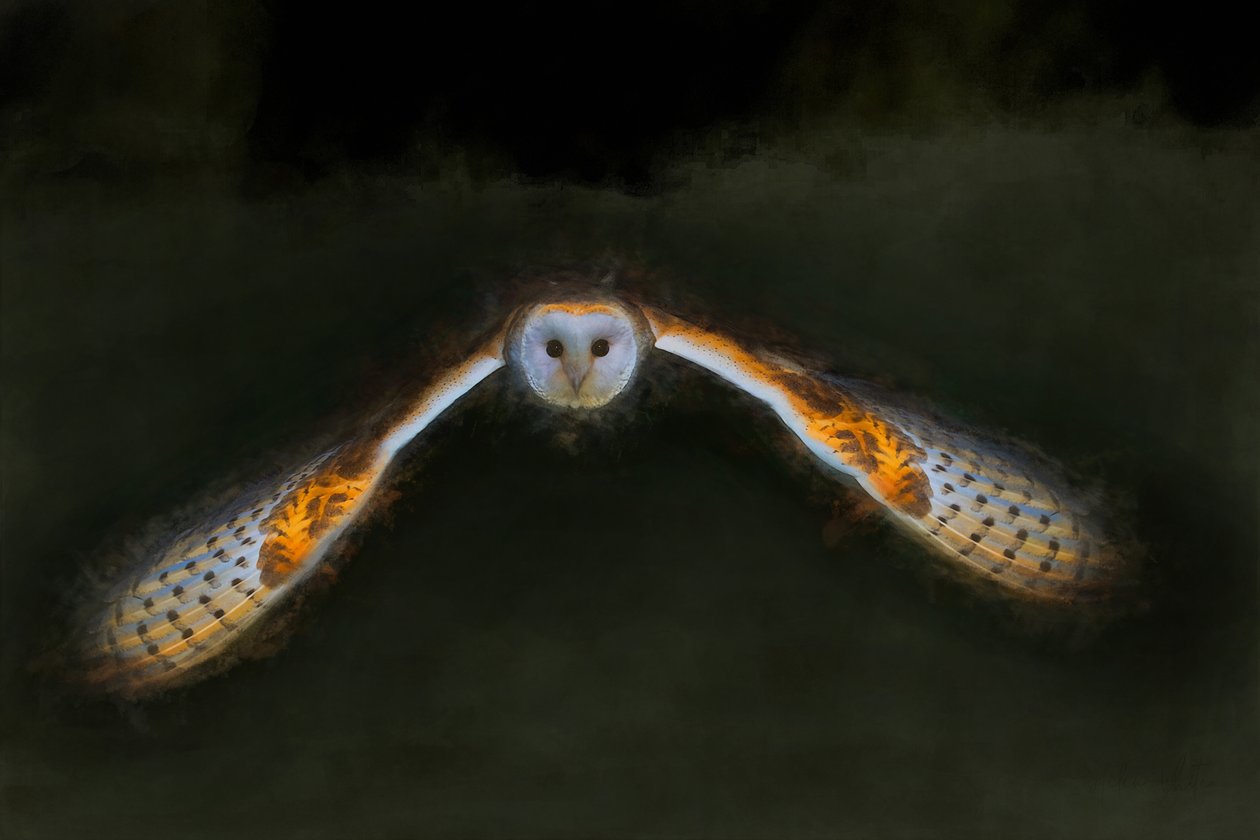 Volo notturno, 2018 da Helen White