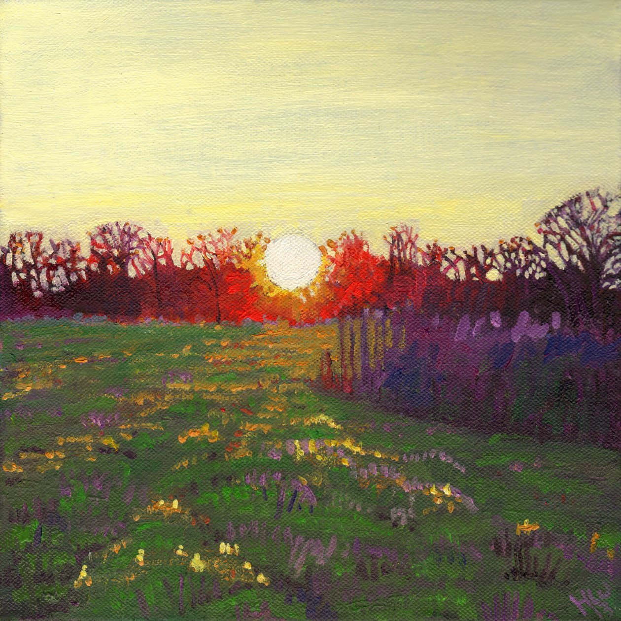 Sentiero di luce, 2013 da Helen White