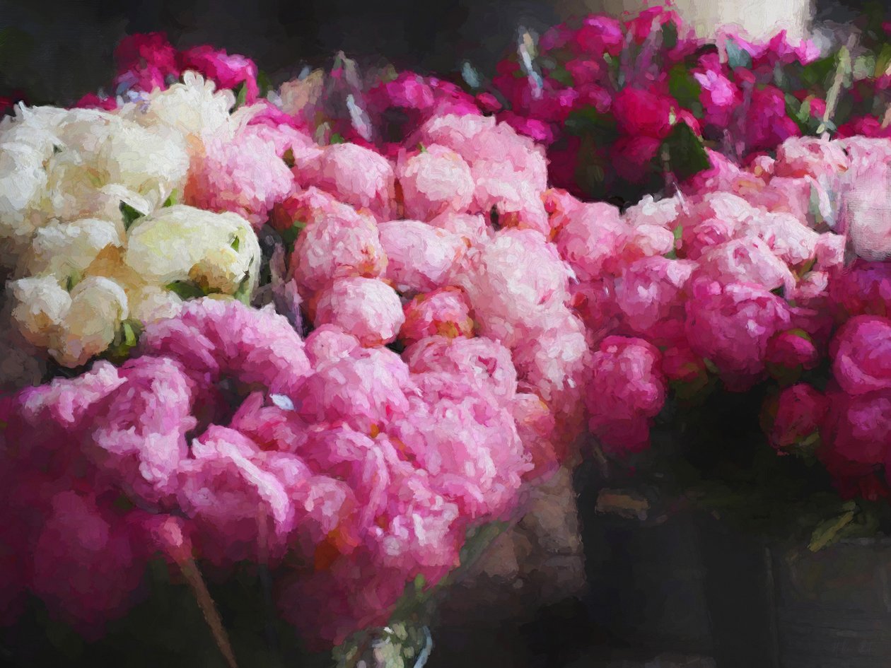 Stagione delle Peonie, 2018 da Helen White