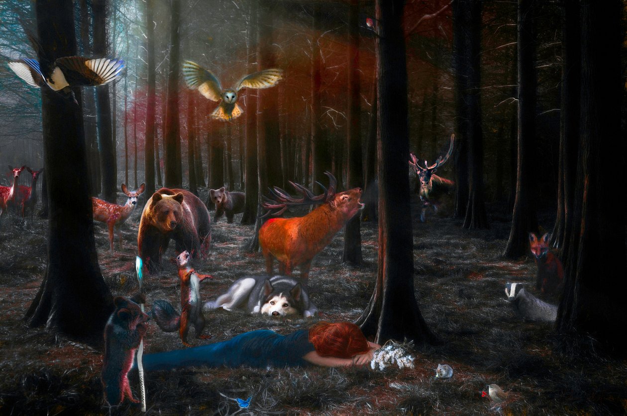 Per favore svegliati, 2018 da Helen White
