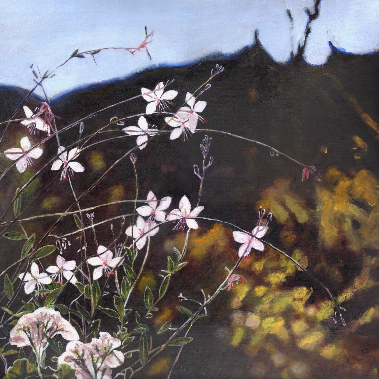 Giardino provenzale I, 2014 da Helen White