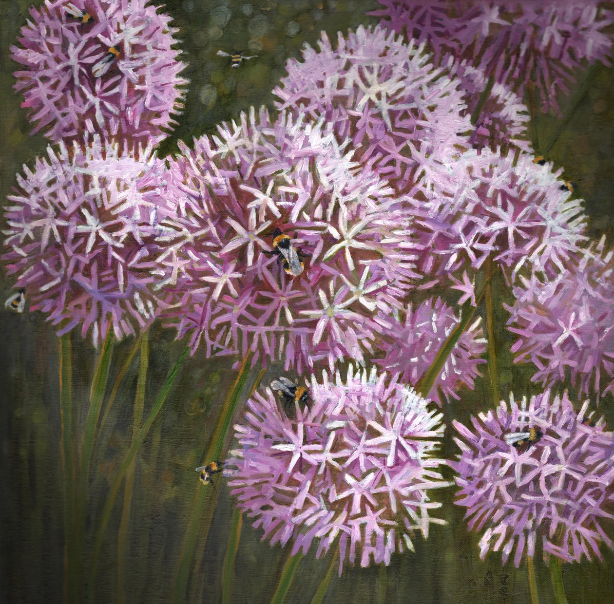 Api estive, 2014 da Helen White