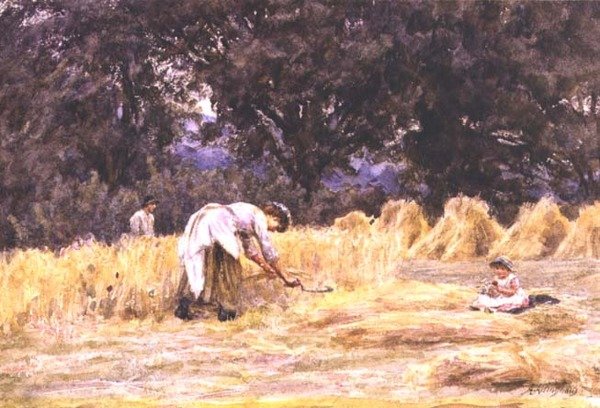 Raccolta da Helen Allingham
