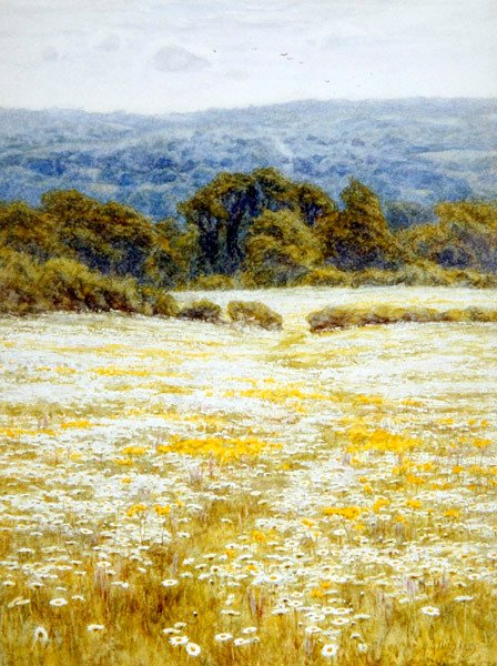 Margherite vicino a Westerham, Kent da Helen Allingham