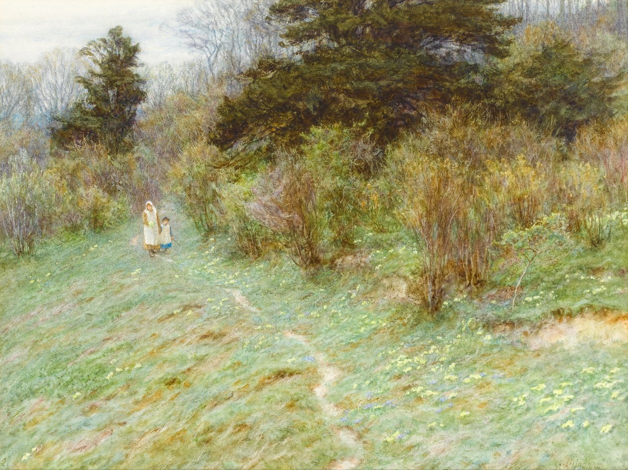 Primule su una brughiera del Surrey da Helen Allingham