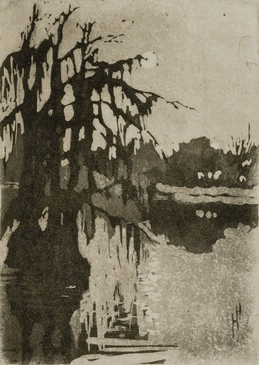 Cipressi da Helen Hyde